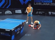 英雄联盟总决赛直播-包含波兰队完胜韩国队，张本智和状态火热的词条