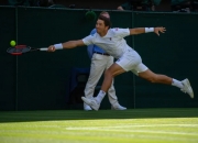 英雄联盟总决赛门票-蒙特卡洛大师赛横扫戴维斯杯，鲁德高光表现