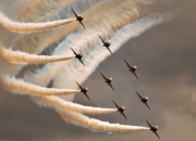 LOL赛事-太阳耀斑，霍勒迪撕碎绿军防线，菲尼克斯展现恒星级统治