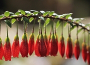 英雄联盟总决赛赛程-篮球江湖暗战，当芝加哥野性收割上海滩，凯文·克莱的杀器哲学如何一锤定音？