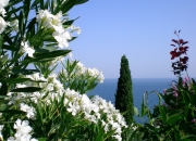 英雄联盟总决赛直播-引擎咆哮与篮球入网，那个交错奇迹的夜晚