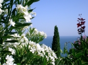 英雄联盟总决赛直播-引擎咆哮与篮球入网，那个交错奇迹的夜晚