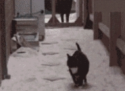 LOL决赛-时空交错的实验场，小贾伦的独角戏