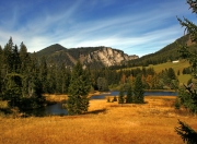 英雄联盟总决赛直播-可选择的文章标题