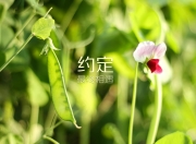 LOL决赛-基因差异，当快船用团队压制骑士，浓眉正用一己之力定义西决生死战