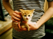 -虚实交锋，当福克斯掌控比赛脉搏，深圳铁骑如何改写篮球次元？