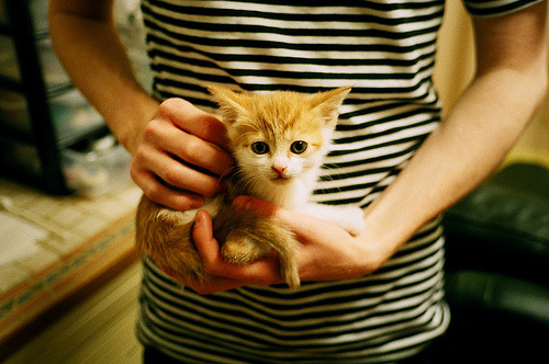 风暴与蓝调,当比利时式压制遭遇三笘薰的闪光时刻