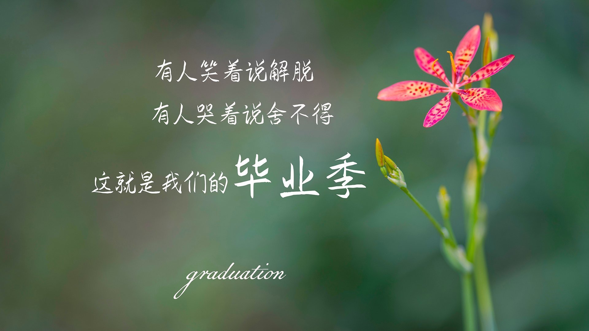 钢门觉醒!门迪天神下凡,加纳连续得分力压几内亚