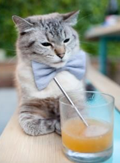 一剑封喉！新疆詹姆斯终场绝唱，破粤十载铁幕