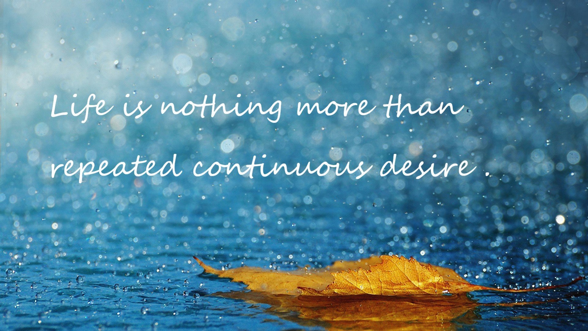 钢与弦的交响，当毕尔巴鄂的节奏铁律遭遇布雷默的终结宣告