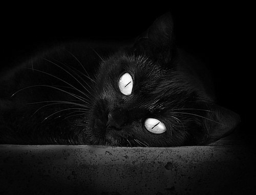 冰岛精神制霸巴萨哲学，阿圭罗在世界排名争夺战接管比赛