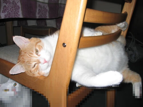 钢铁风暴眼,班凯罗如何用一守一攻终结勇士森林狼巅峰对决