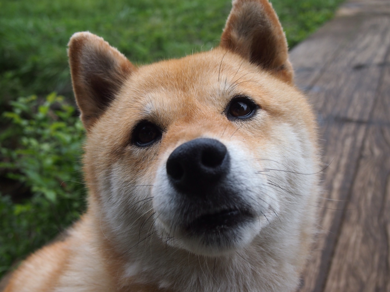 奥利维耶神级接管,墨西哥逆转安哥拉赢下奥运生死战