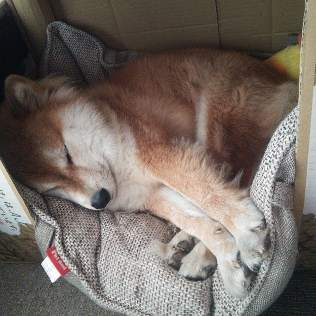 锁定新曙光,布克爆发之夜,篮网最后一秒逆转骑士