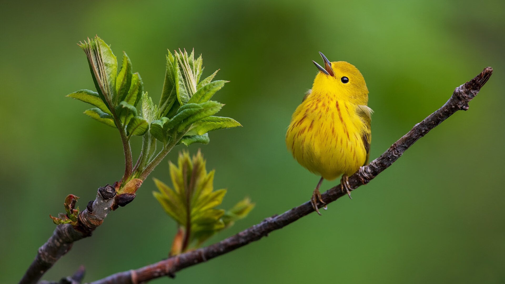 速度与激情，巴萨如F1街道赛焦点战般硬仗取胜尼斯