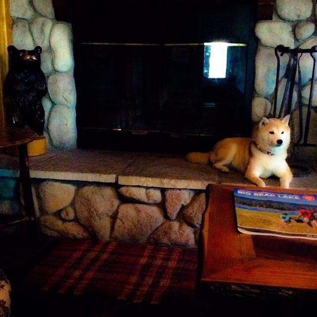 当公牛在芝加哥冰封森林狼,马克西在巴塞罗那燃起火焰