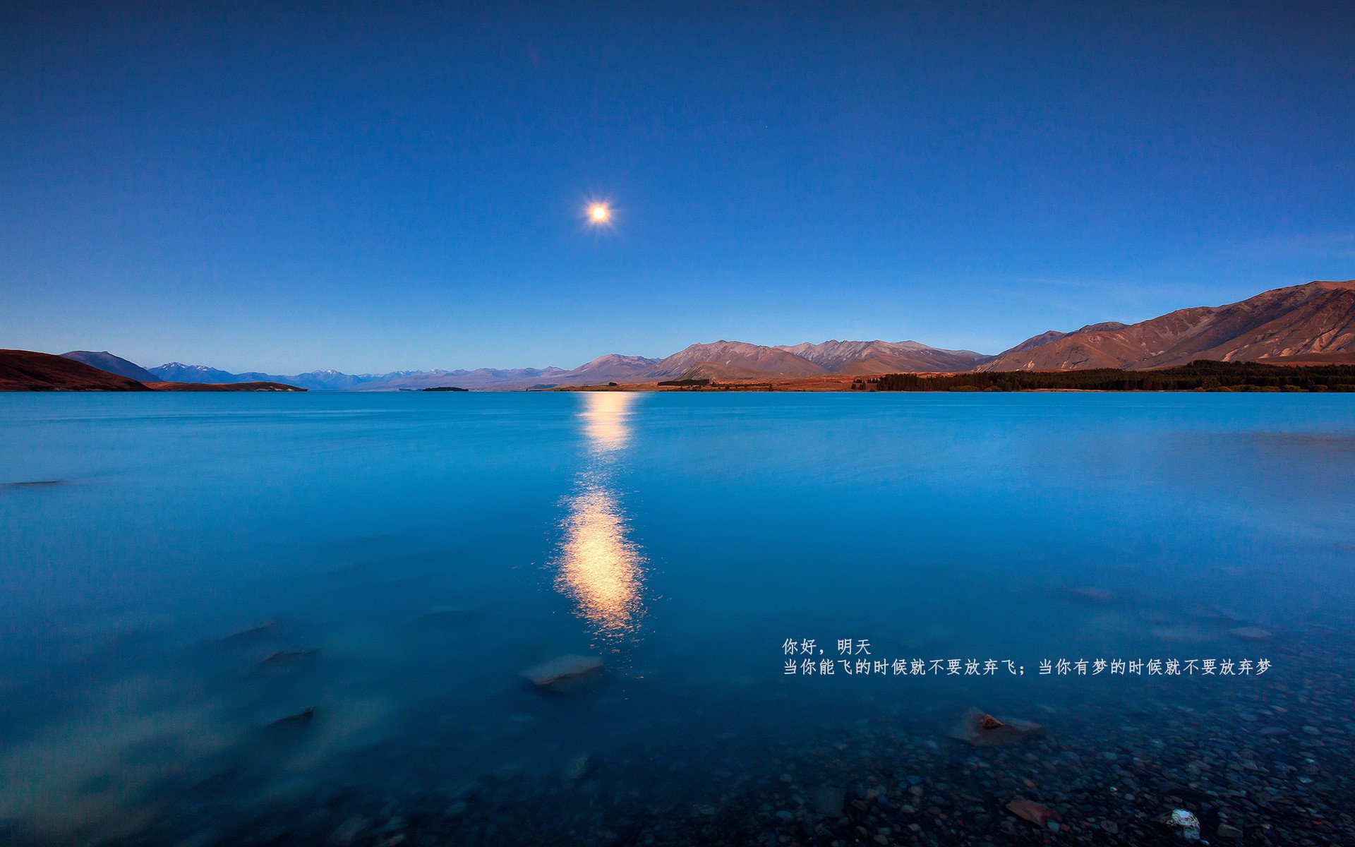 以战术之舟横渡历史长河,勒沃库森如何用现代足球的强压让埃及足球陷入沉思