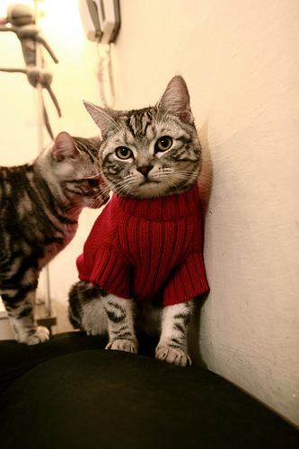 那一记绝命三分背后，是克莱·汤普森的神之归位